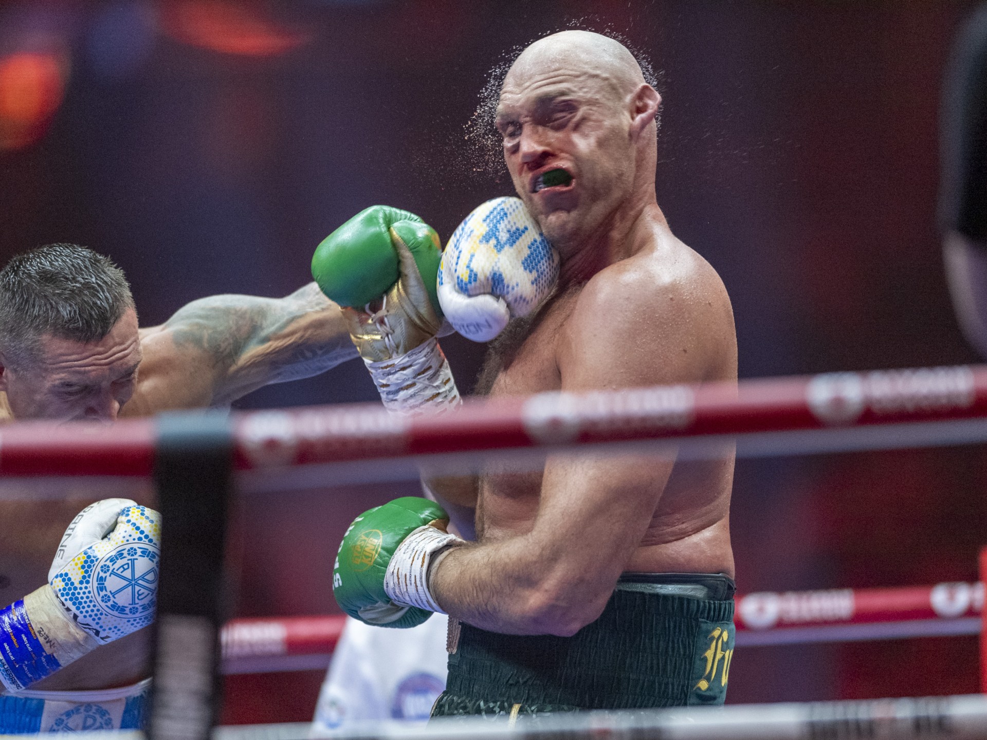 الملاكم أوسيك يواجه فيوري مجددا في السعودية | رياضة – البوكس نيوز