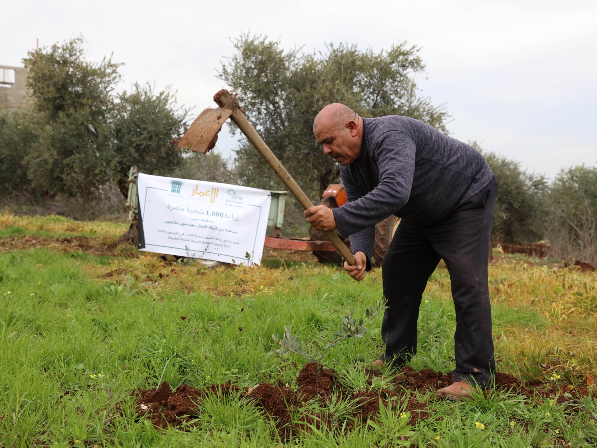 هكذا نجح الفلسطينيون بزراعة نحو 150 ألف شجرة منذ 7 أكتوبر | سياسة – البوكس نيوز