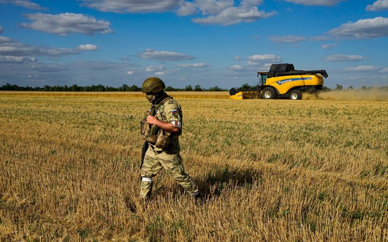 الطقس والصراعات يهددان إمدادات القمح بالعالم | اقتصاد – البوكس نيوز