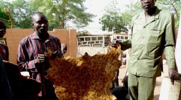 النعال الجلدية في النيجر.. تراث تقليدي وصناعة رائدة | منوعات – البوكس نيوز
