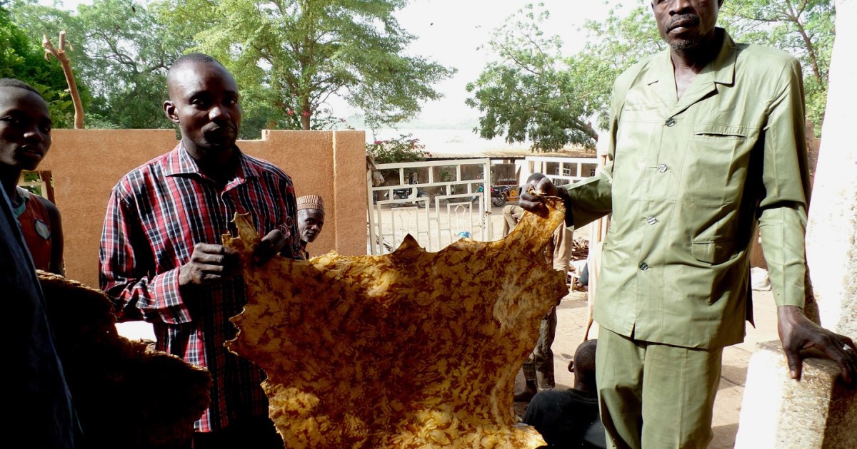 النعال الجلدية في النيجر.. تراث تقليدي وصناعة رائدة | منوعات – البوكس نيوز
