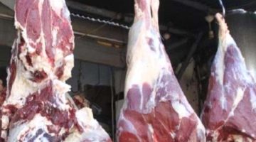 أسعار اللحوم في عدن – العاصفة نيوز