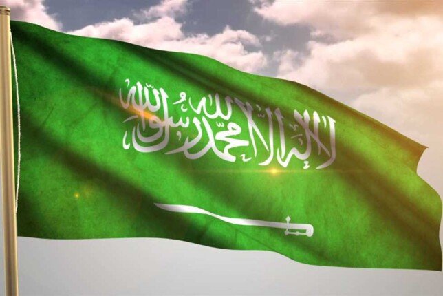 السعودية: ضبط أكثر من 16 ألف مخالف لأنظمة الإقامة والعمل وأمن الحدود