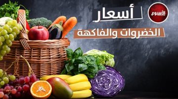 أسعار الخضار والفاكهة في سوق العبور اليوم الإثنين 17 يونيو 2024