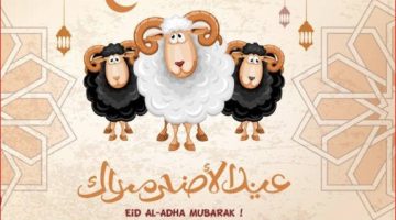 موعد وقفة عرفات وأول أيام عيد الأضحى 2024