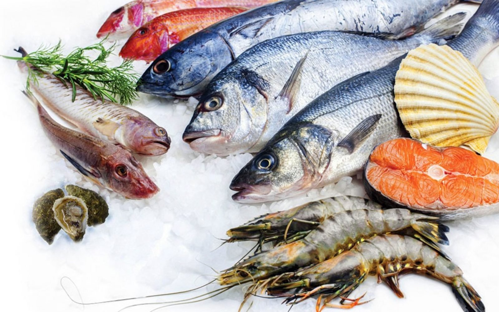 أسعار الأسماك والجمبري اليوم الأحد 2 يونيو 2024 في سوق العبور