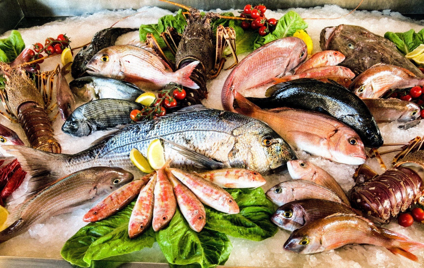 أسعار الأسماك والجمبري اليوم السبت 18 مايو 2024