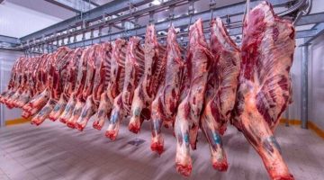 الكندوز بـ 420 جنيهًا.. أسعار اللحوم اليوم الجمعة 17 – 5 – 2024