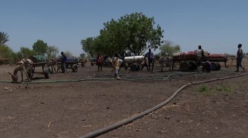 أزمة مياه الشرب تزيد محنة النازحين في القضارف السودانية | أخبار البرامج – البوكس نيوز