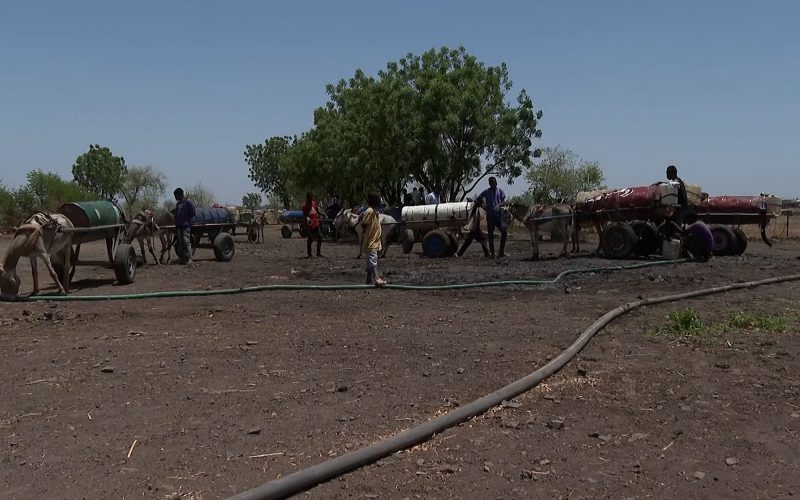 أزمة مياه الشرب تزيد محنة النازحين في القضارف السودانية | أخبار البرامج – البوكس نيوز