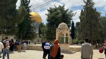 إدانة فلسطينية أردنية لرفع العلم الإسرائيلي بالمسجد الأقصى | أخبار – البوكس نيوز