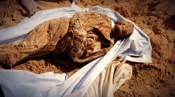 تحقيق للجزيرة يكشف عن مقابر جماعية بغزة بعد إعدامات ميدانية | أخبار – البوكس نيوز