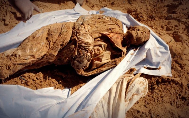 تحقيق للجزيرة يكشف عن مقابر جماعية بغزة بعد إعدامات ميدانية | أخبار – البوكس نيوز