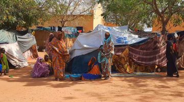 باحث فرنسي: نخشى في السودان مذبحة بالفاشر بحجم مجزرة الجنينة | سياسة – البوكس نيوز