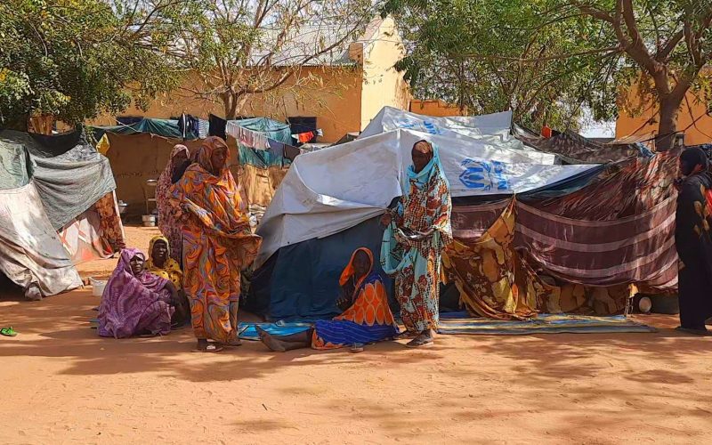 باحث فرنسي: نخشى في السودان مذبحة بالفاشر بحجم مجزرة الجنينة | سياسة – البوكس نيوز