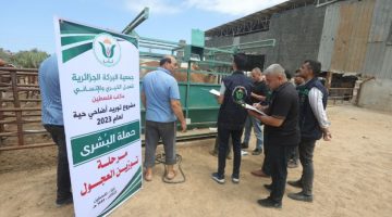 حملة بالجزائر لدعم غزة بعنوان “اجعل جزءا من أضحيتك لفلسطين” | سياسة – البوكس نيوز