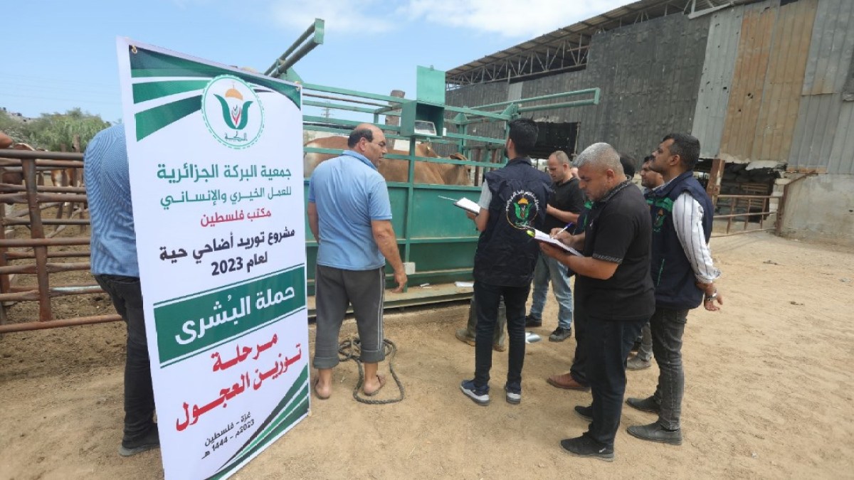 حملة بالجزائر لدعم غزة بعنوان “اجعل جزءا من أضحيتك لفلسطين” | سياسة – البوكس نيوز