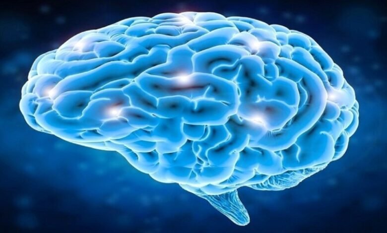 العلماء يحددون منطقة الإيثار في الدماغ