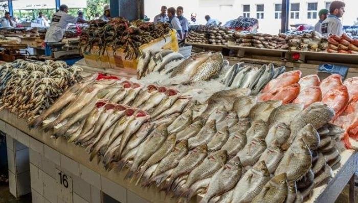 البلطي عامل كام.. أسعار الأسماك والجمبرى اليوم الإثنين 3 يونيو 2024 بسوق العبور