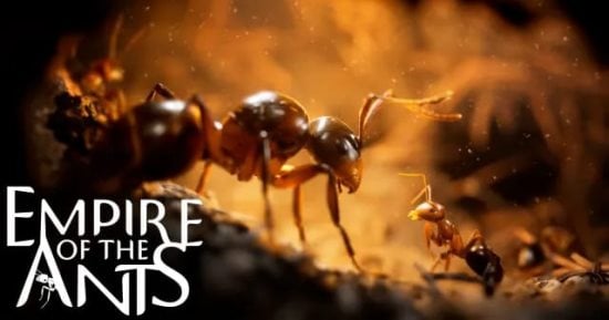 تكنولوجيا  – لعبة Empire of the Ants تكشف حياة حشرة واقعية ويتم طرحها فى نوفمبر