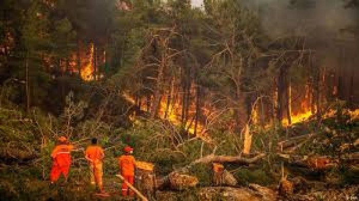 خمسة قتلى وعشرات الجرحى بحرائق غابات في جنوب شرق تركيا
