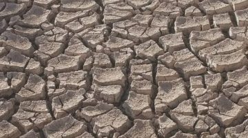 الجفاف يضرب منطقة ذالبير الأثرية في لحج والأهالي يطلقون نداء استغاثة