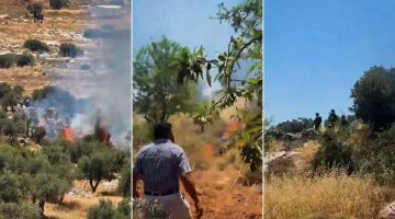 مستوطنون يحرقون أراضي زراعية في الضفة للمرة الثانية في أسبوع | أخبار – البوكس نيوز