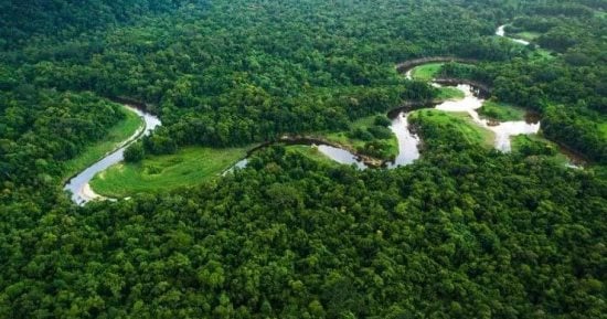 تكنولوجيا  – منطقة الأمازون البرازيلية تشهد أسوأ 6 أشهر من حرائق الغابات منذ 20 عامًا