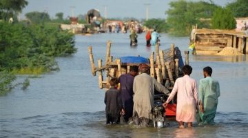 باكستان.. تدمير عشرات المنازل والمحاصيل الزراعية جراء الفيضانات