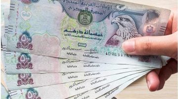سعر الدرهم الإماراتي مقابل الجنيه اليوم الاثنين 1 يوليو 2024