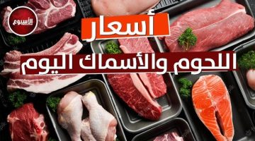 البلدي بـ 420 جنيه.. أسعار اللحوم اليوم الخميس 11 يوليو 2024