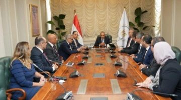 وزير الخارجية يكلف السفير نبيل حبشي بالإشراف على قطاع الهجرة وشئون المصريين بالخارج