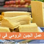 طريقة-عمل-الجبنة-الرومي-.jpg